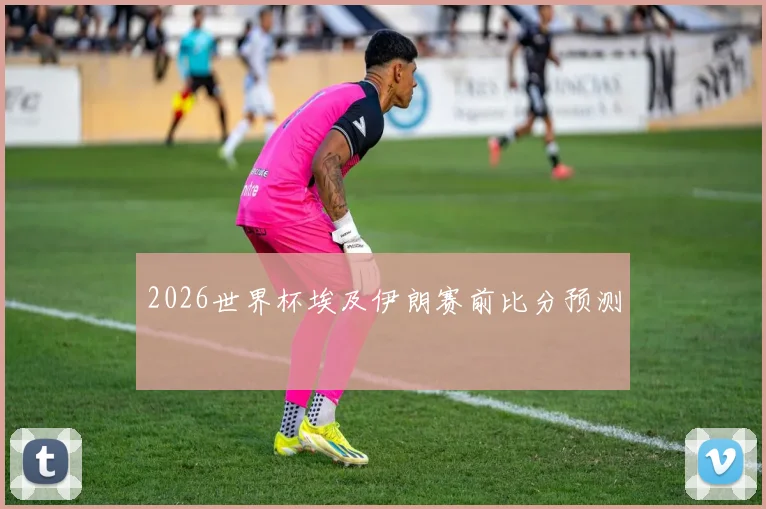 2026世界杯埃及伊朗赛前比分预测