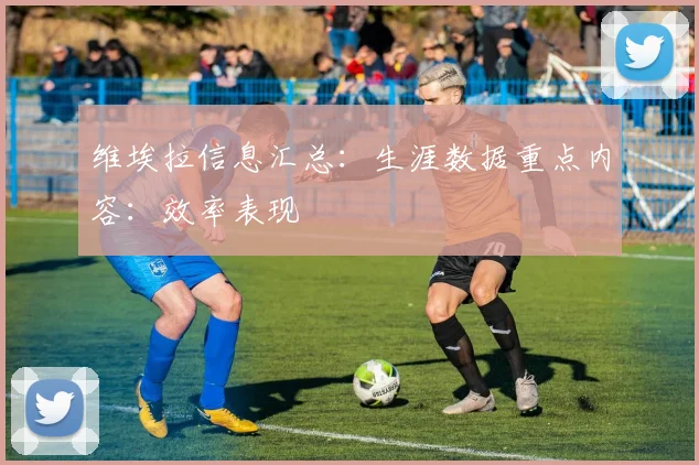 维埃拉信息汇总：生涯数据重点内容：效率表现